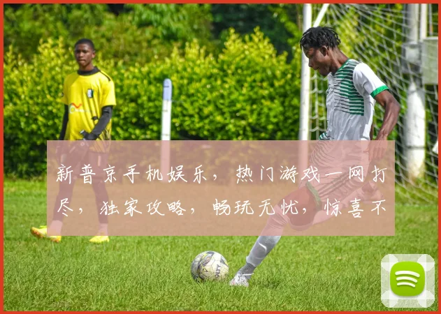 新普京手机娱乐，热门游戏一网打尽，独家攻略，畅玩无忧，惊喜不断，必看