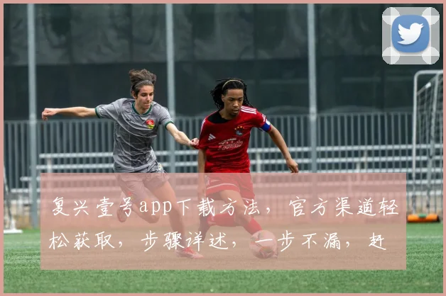 复兴壹号app下载方法，官方渠道轻松获取，步骤详述，一步不漏，赶快尝试逗逗看