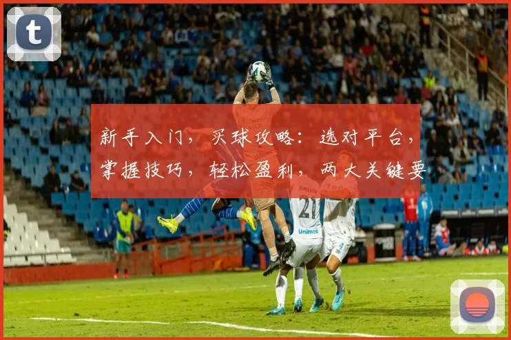 新手入门，买球攻略：选对平台，掌握技巧，轻松盈利，两大关键要素，助你一臂之力