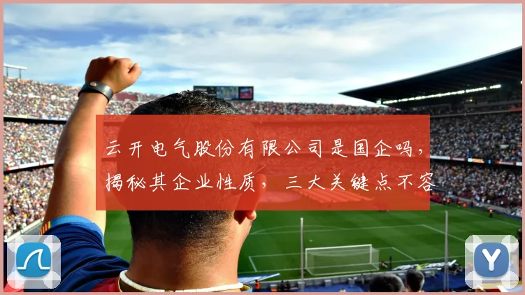 云开电气股份有限公司是国企吗，揭秘其企业性质，三大关键点不容忽视，深度解析