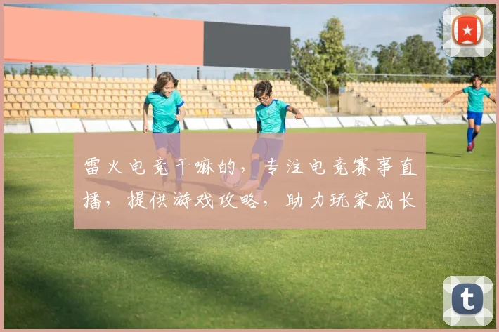 雷火电竞干嘛的，专注电竞赛事直播，提供游戏攻略，助力玩家成长，打造电竞盛宴三重奏